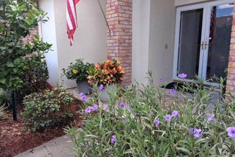 Condominio en alquiler en New Port Richey, Florida, 2 dormitorios, 160.54 m2 № 2345166 - foto 28