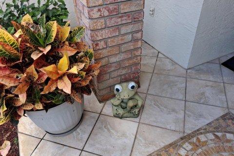 Condominio en alquiler en New Port Richey, Florida, 2 dormitorios, 160.54 m2 № 2345166 - foto 3