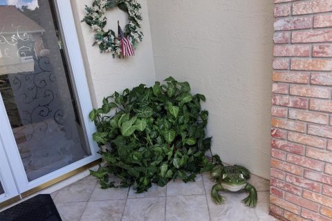 Condominio en alquiler en New Port Richey, Florida, 2 dormitorios, 160.54 m2 № 2345166 - foto 26