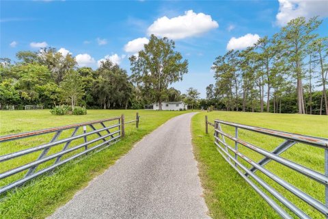 Casa en alquiler en Ocala, Florida, 4 dormitorios, 187.48 m2 № 1911723 - foto 16