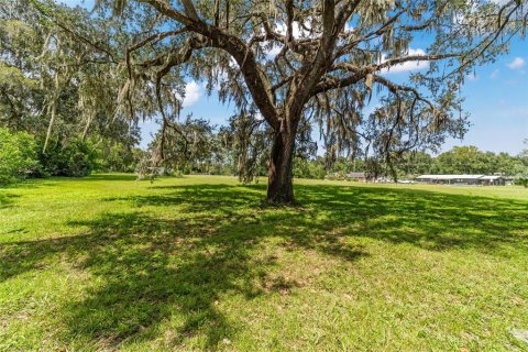 Casa en alquiler en Ocala, Florida, 4 dormitorios, 187.48 m2 № 1911723 - foto 23