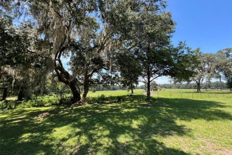 Casa en alquiler en Alachua, Florida, 3 dormitorios, 145.67 m2 № 1918036 - foto 3