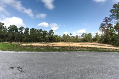 Terrain à vendre à Ocala, Floride № 1822960 - photo 8