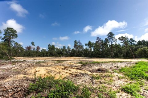 Terrain à vendre à Ocala, Floride № 1822960 - photo 3