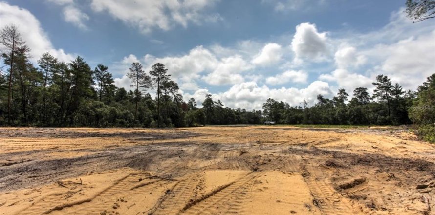 Terreno en Ocala, Florida № 1822960