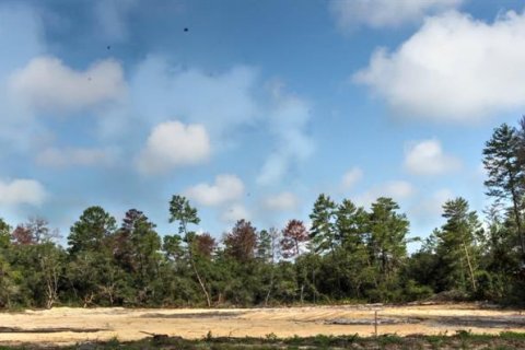Terrain à vendre à Ocala, Floride № 1822960 - photo 4