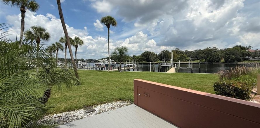 Condominio en Tampa, Florida, 1 dormitorio № 1916500