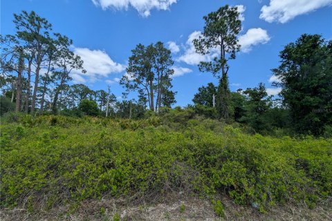 Land in Lake Placid, Florida № 2206157