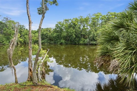 Terrain à vendre à Oldsmar, Floride № 2239093 - photo 7