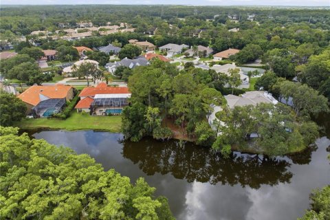 Terrain à vendre à Oldsmar, Floride № 2239093 - photo 6