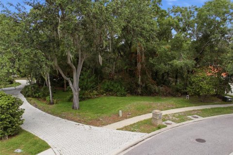 Terrain à vendre à Oldsmar, Floride № 2239093 - photo 8