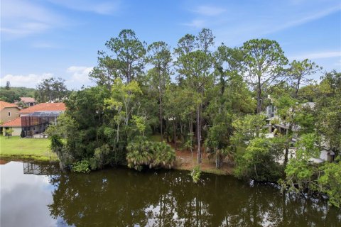 Terrain à vendre à Oldsmar, Floride № 2239093 - photo 5