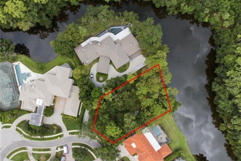 Terreno en Oldsmar, Florida № 2239093