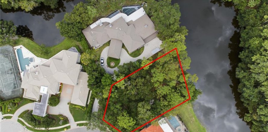 Terrain à Oldsmar, Floride № 2239093