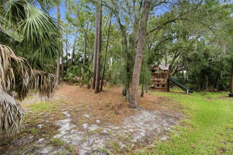 Terrain à vendre à Oldsmar, Floride № 2239093 - photo 10