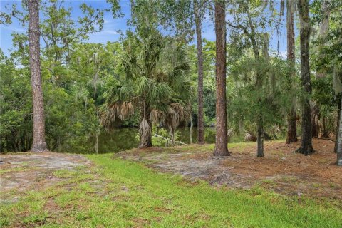 Terrain à vendre à Oldsmar, Floride № 2239093 - photo 11