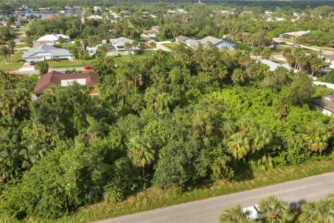 Terrain à vendre à Port Charlotte, Floride № 2223496 - photo 2