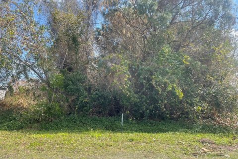 Land in Port St. Lucie, Florida № 2075687 - photo 2