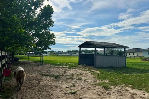 Land in Grand Island, Florida № 1843043 - photo 21