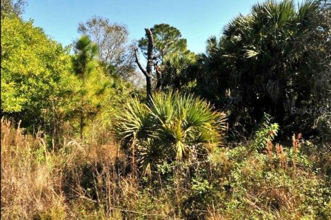 Land in North Port, Florida № 2164871 - photo 2