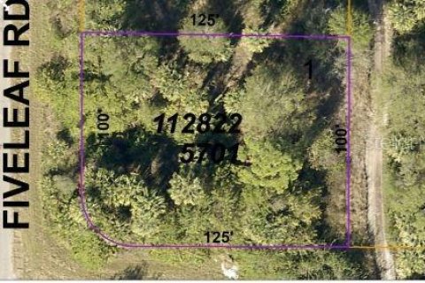 Land in North Port, Florida № 2164871 - photo 5