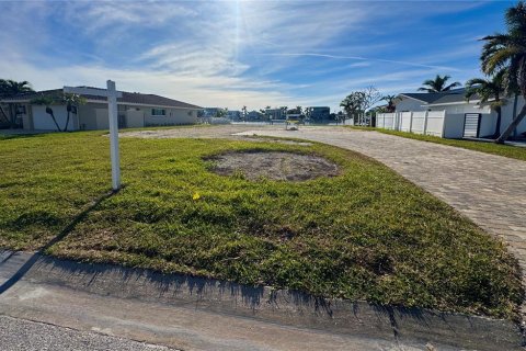 Land in Saint Petersburg, Florida № 1535035 - photo 18