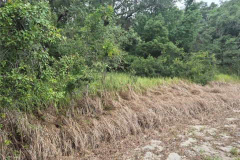 Land in Sumter, Florida № 2213579 - photo 6