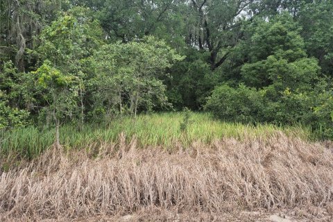 Land in Sumter, Florida № 2213579 - photo 5