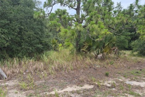Land in Sumter, Florida № 2213579 - photo 2