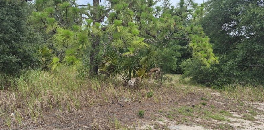 Land in Sumter, Florida № 2213579