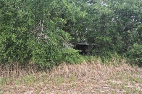 Land in Sumter, Florida № 2213579 - photo 3