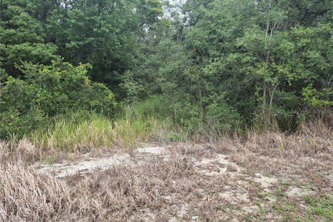 Land in Sumter, Florida № 2213579 - photo 4