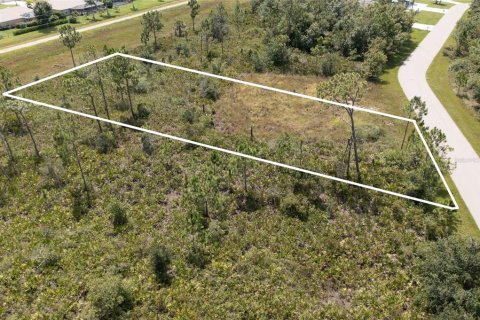 Terrain à vendre à Punta Gorda, Floride № 1299058 - photo 3