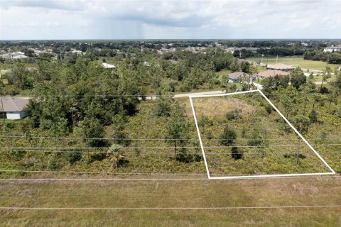 Terrain à vendre à Punta Gorda, Floride № 1299058 - photo 2