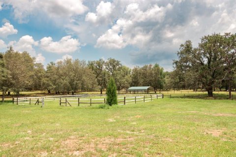 Commercial property in Lecanto, Florida 8 bedrooms, 583.8 sq.m. № 1514966 - photo 29