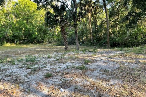 Land in De Leon Springs, Florida № 1663044 - photo 1