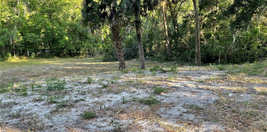 Land in De Leon Springs, Florida № 1663044