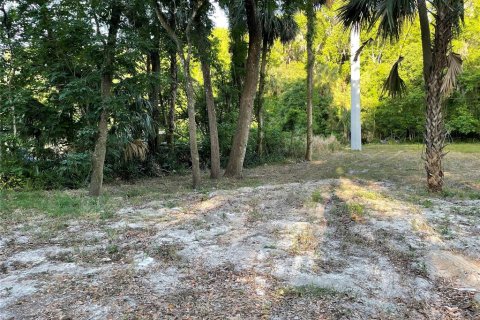 Land in De Leon Springs, Florida № 1663044 - photo 2