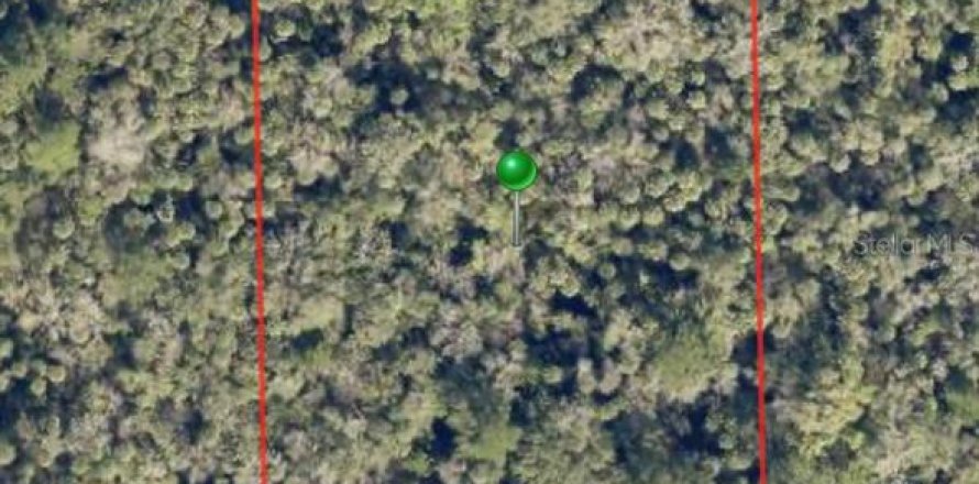 Land in Pierson, Florida № 1880001