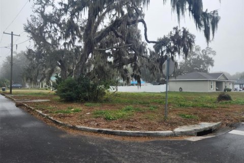 Land in Bartow, Florida № 1555648 - photo 1