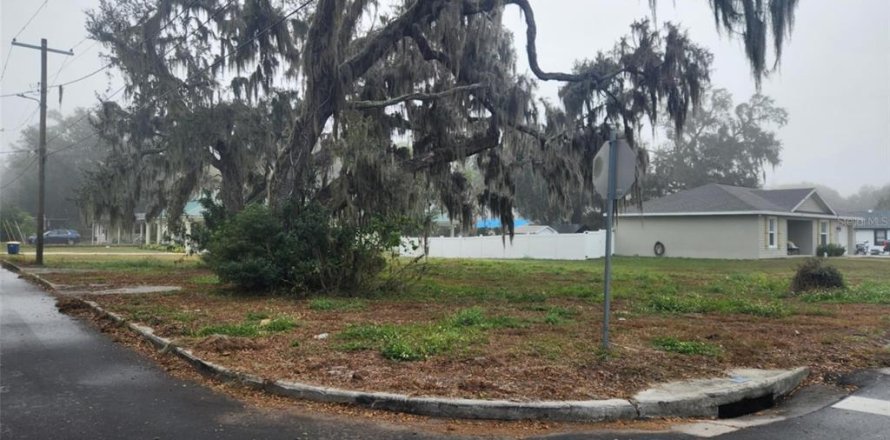 Land in Bartow, Florida № 1555648