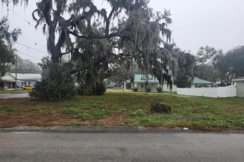 Land in Bartow, Florida № 1555648 - photo 4
