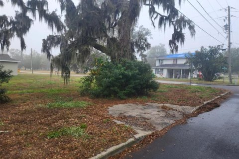 Land in Bartow, Florida № 1555648 - photo 3