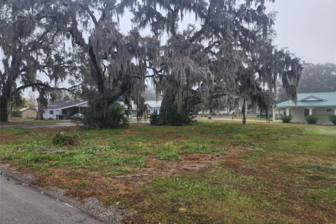 Land in Bartow, Florida № 1555648 - photo 2