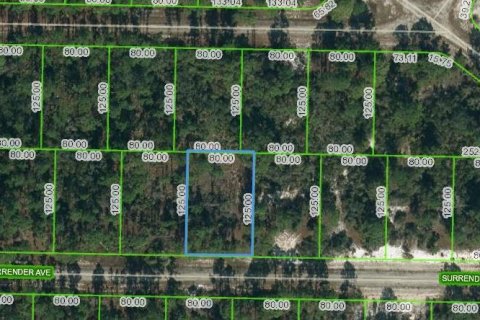 Land in Lake Placid, Florida № 2232112