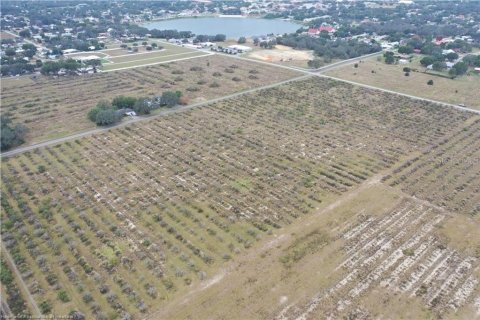 Land in Avon Park, Florida № 2108114 - photo 6
