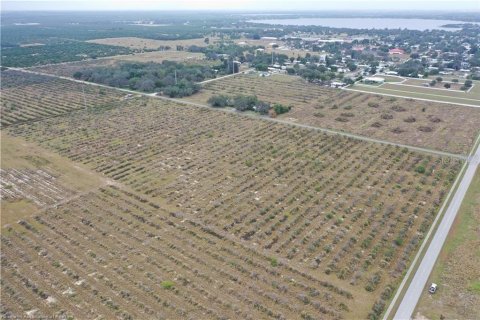 Land in Avon Park, Florida № 2108114 - photo 10