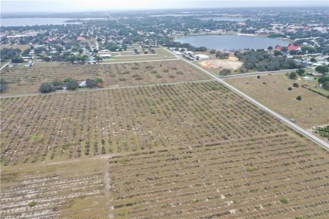 Land in Avon Park, Florida № 2108114 - photo 9
