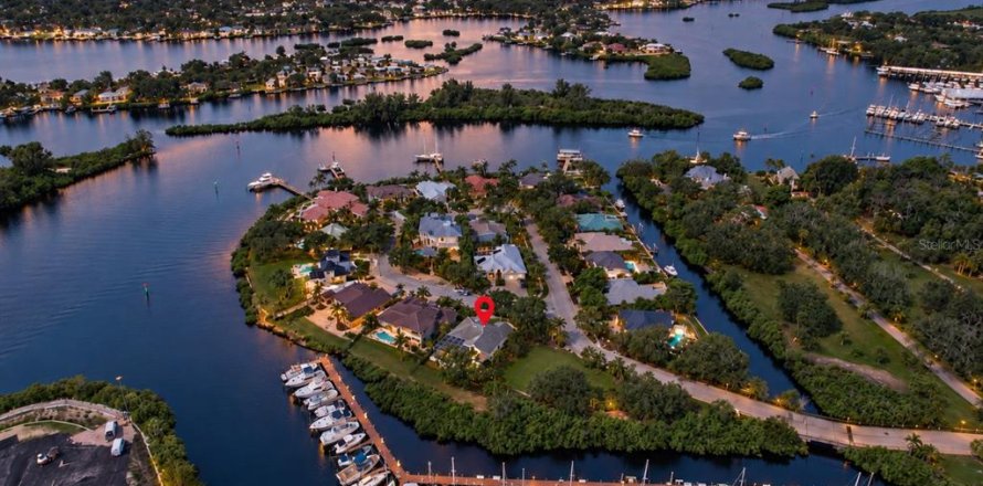 Villa ou maison à Tarpon Springs, Floride 3 chambres, 187.48 m2 № 2406520