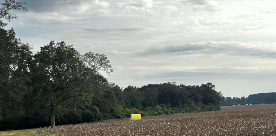 Land in Baker, Florida № 560529